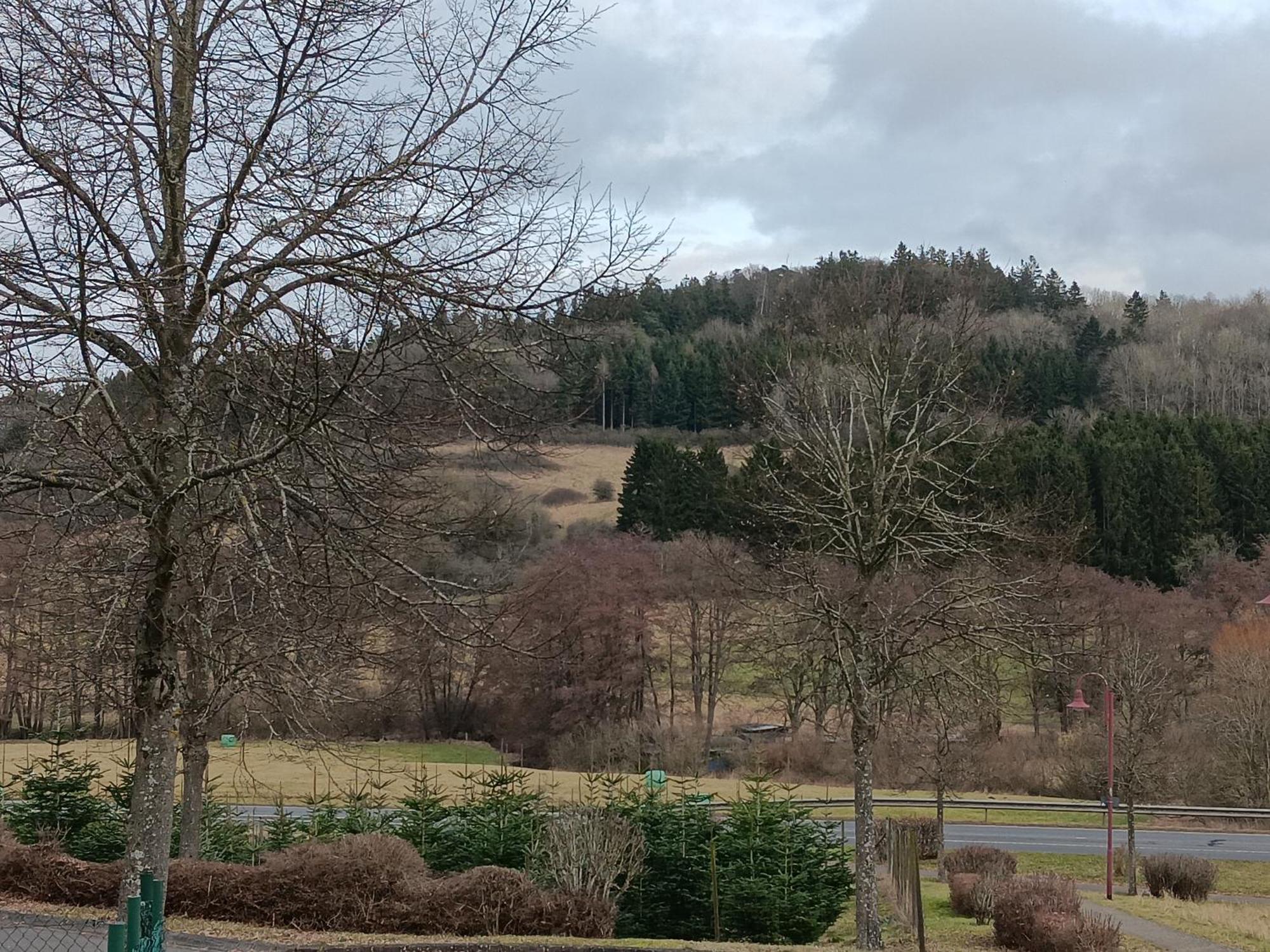 Ferienwohnung Schwarzenbergblick Kelberg Eksteriør bilde