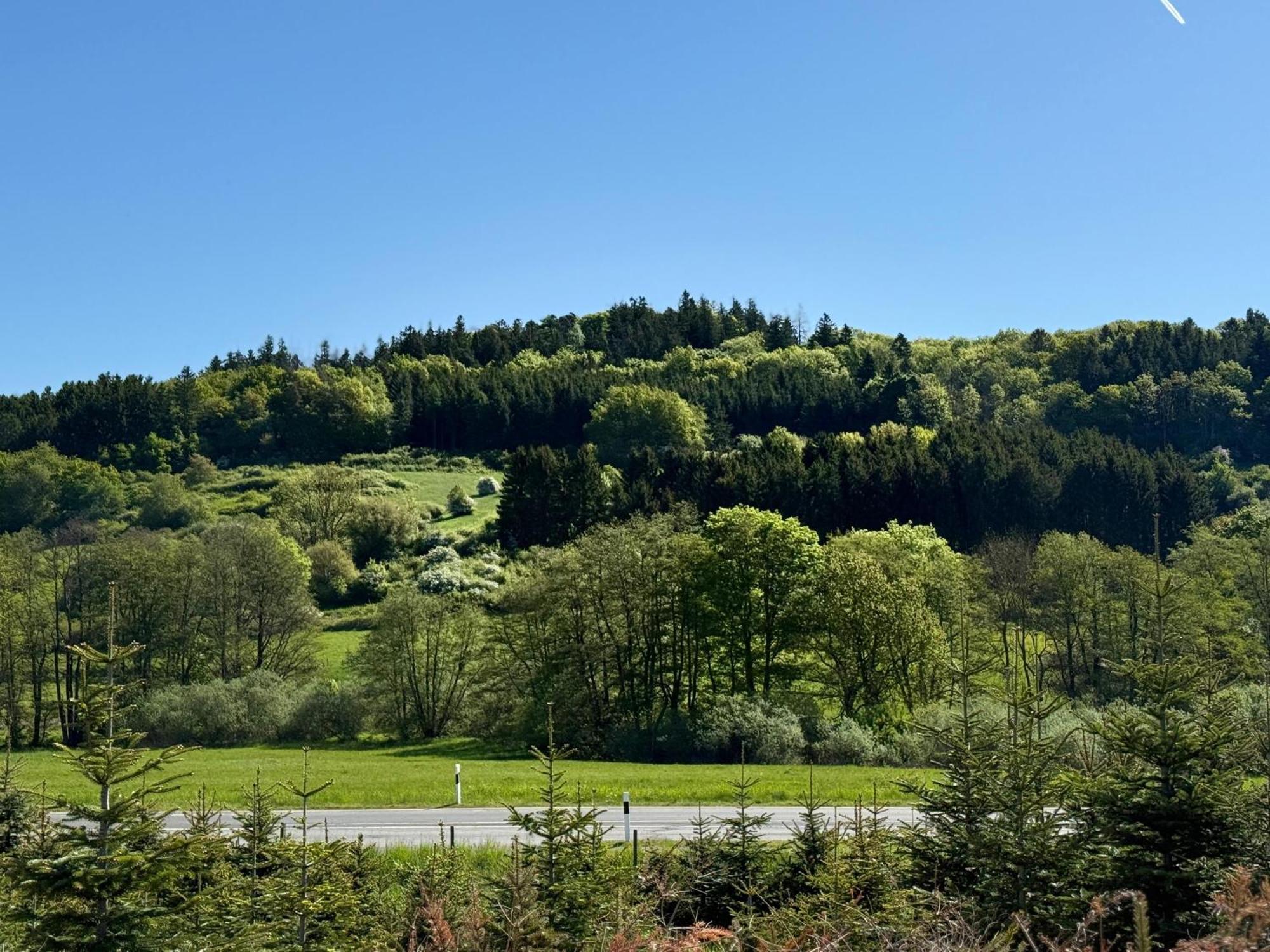 Ferienwohnung Schwarzenbergblick Kelberg Eksteriør bilde